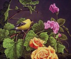 Ron Marlett's painting of a Goldfinch.