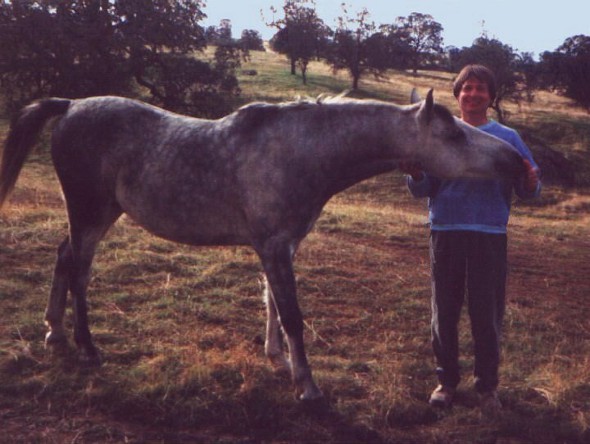 Ron Marlett with a horse in Madera.