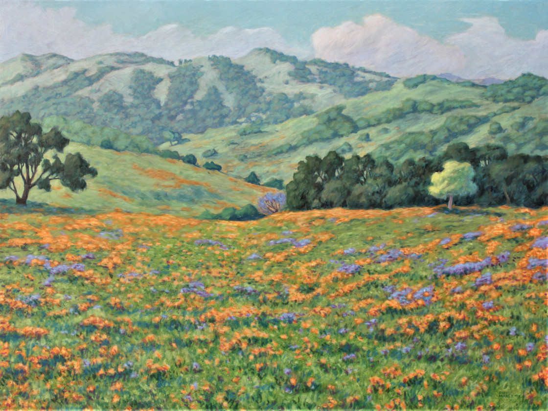 Mount Burdell Poppies by Ron Marlett.
